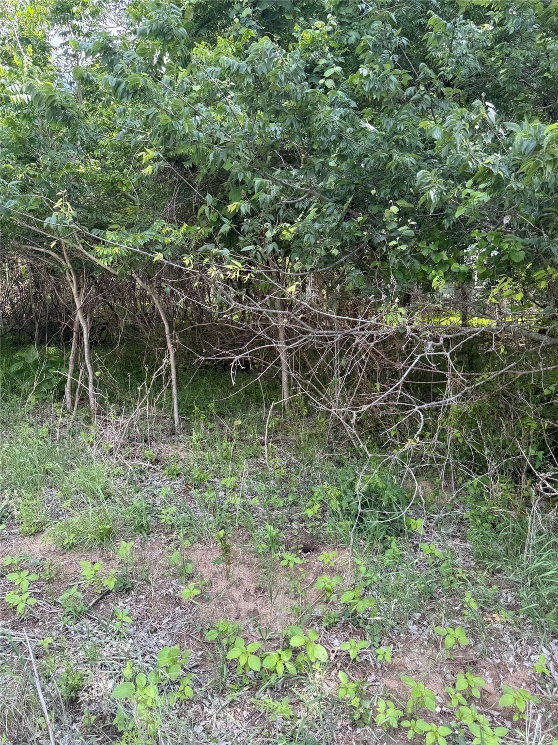 Lot 959  Riverside Dr photo 2