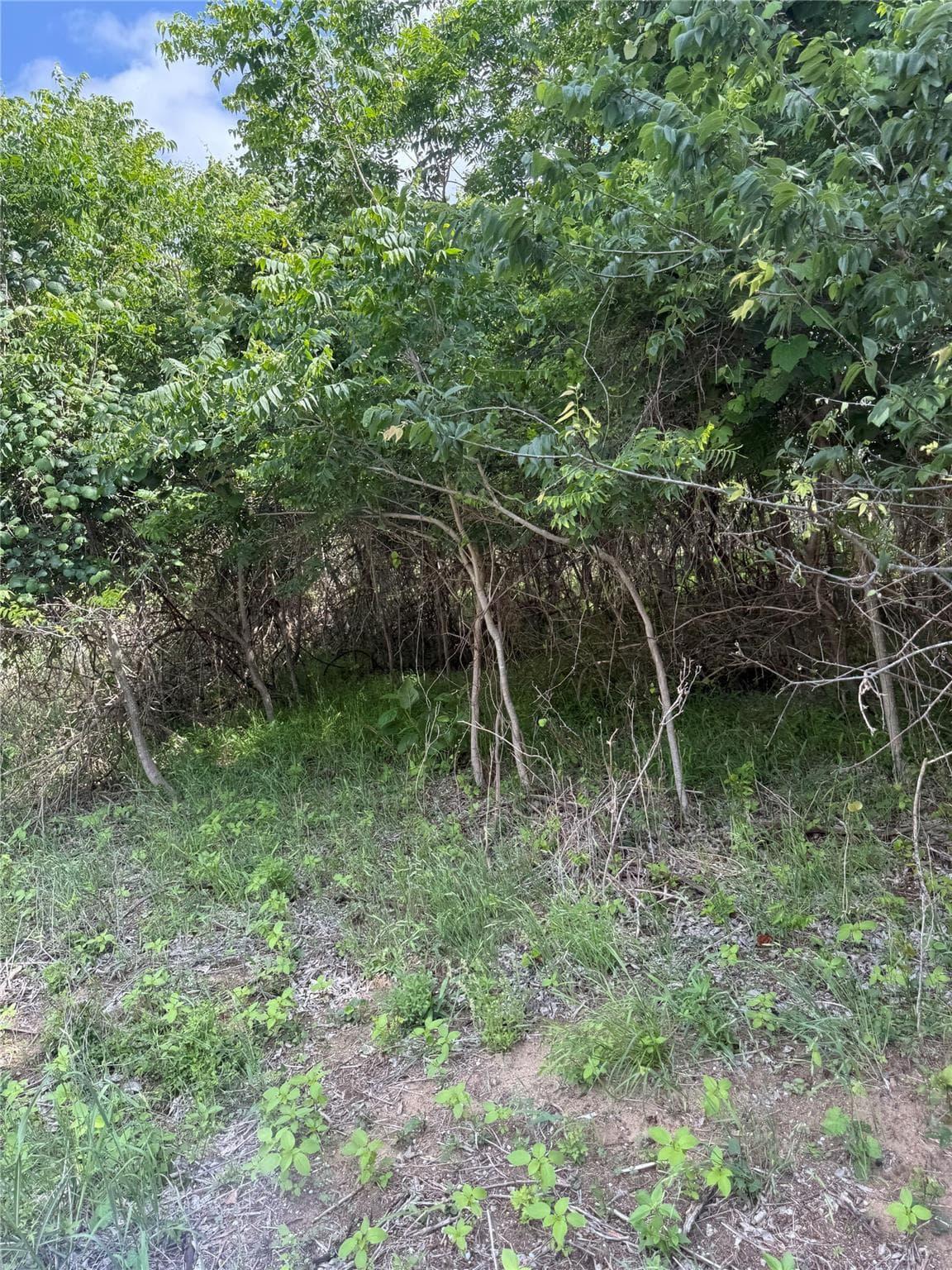Lot 959  Riverside Dr photo 3