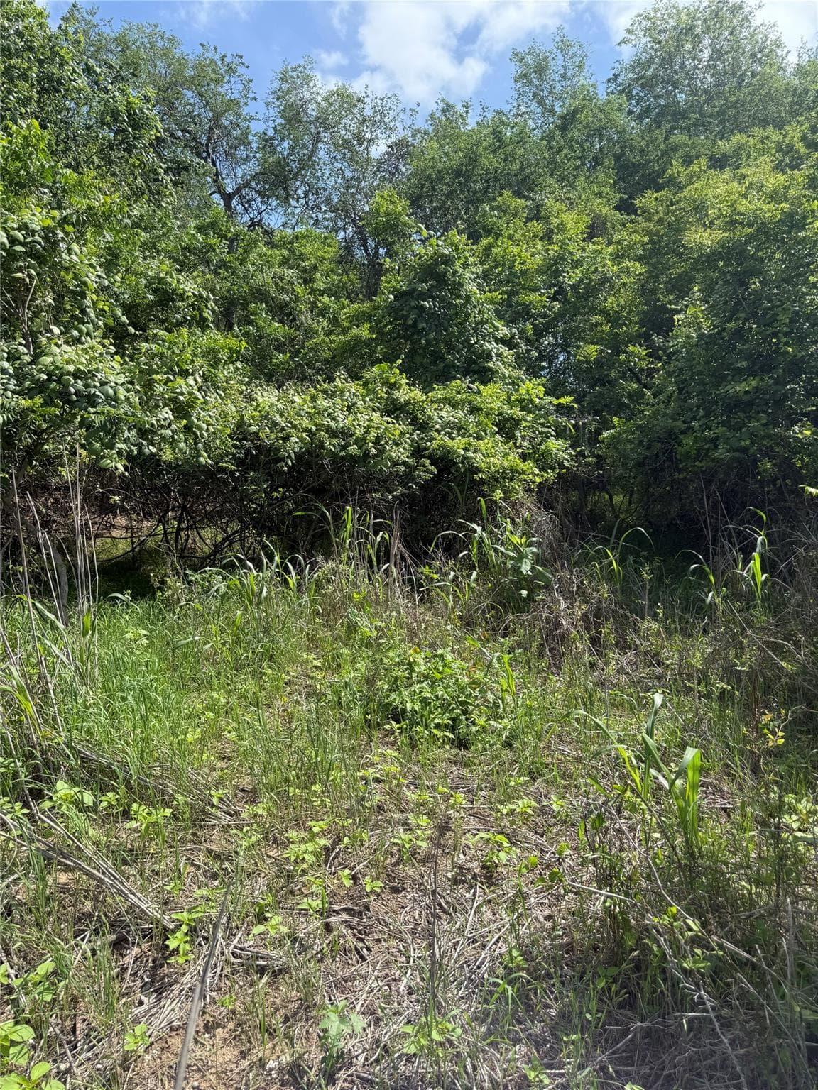 Lot 959  Riverside Dr photo 4