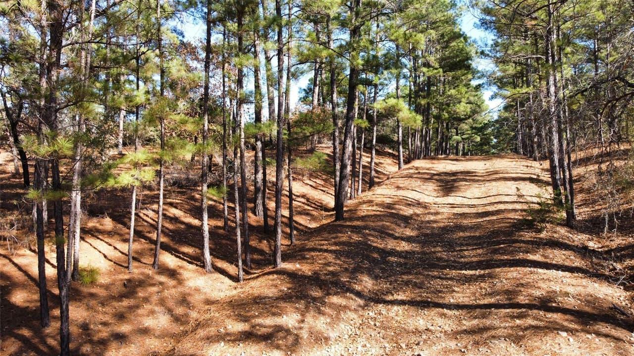 0  Pine Lodge Drive Lot 26 None photo 2