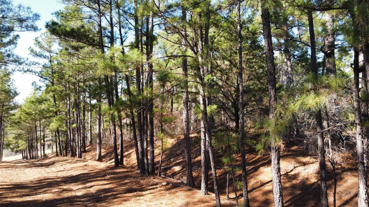 0  Pine Lodge Drive Lot 26 None photo 3