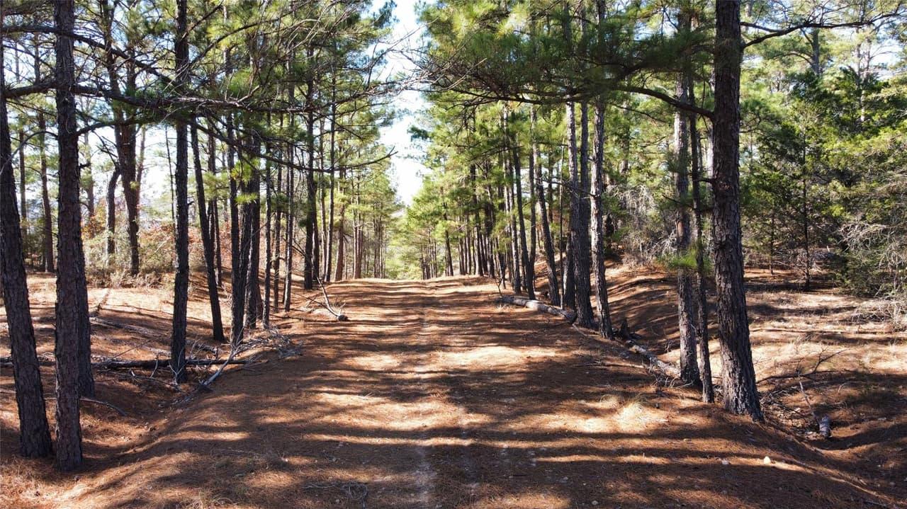 0  Pine Lodge Drive Lot 26 None photo 5