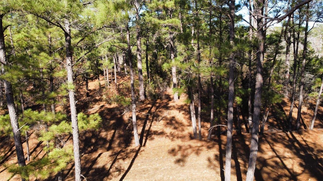 0  Pine Lodge Drive Lot 26 None photo 6
