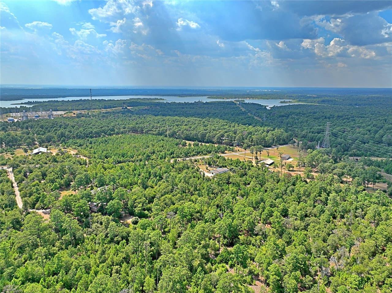 TBD  PINE TREE Loop photo 3