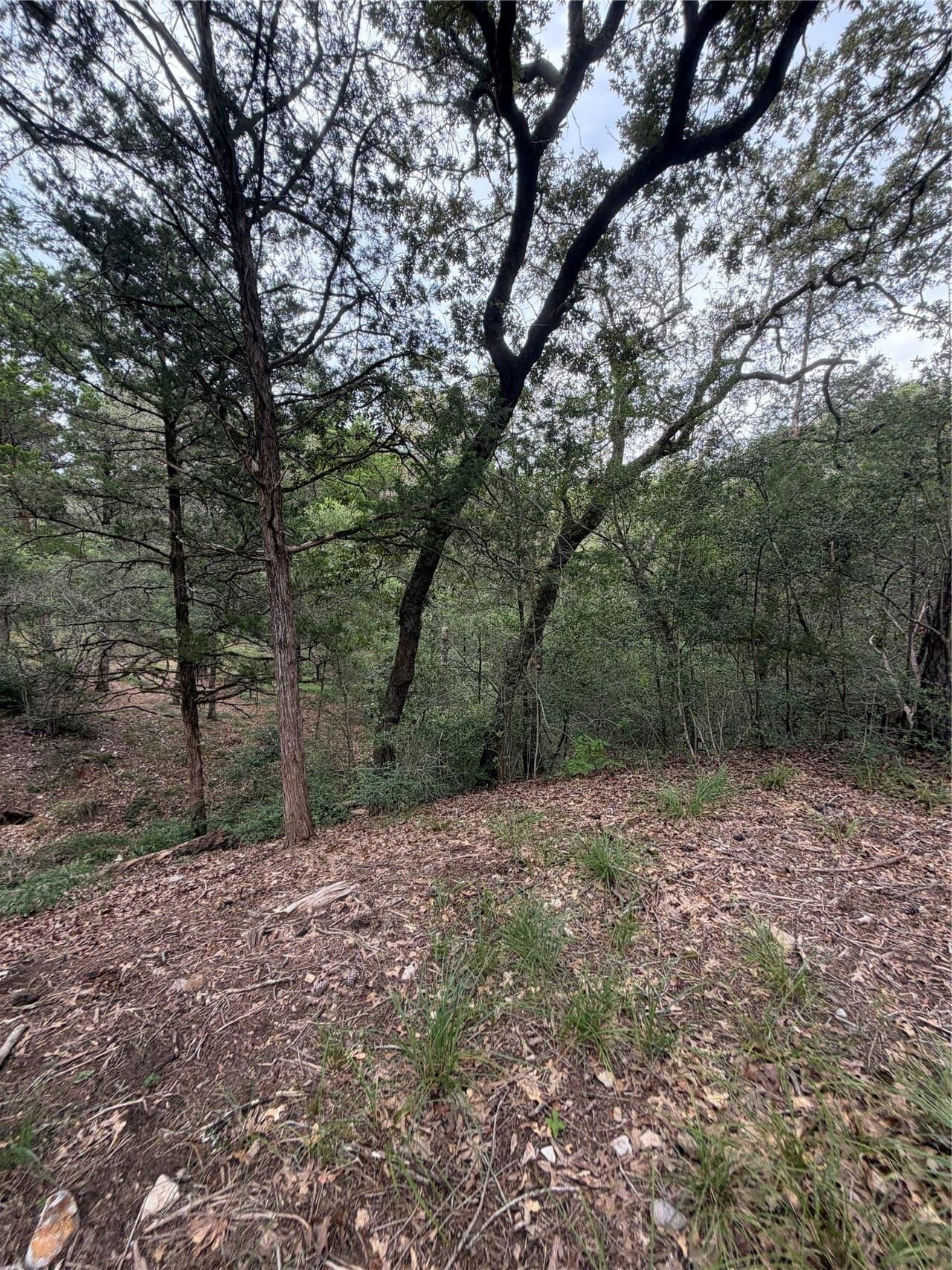Lot 293  Aka Ct photo 2