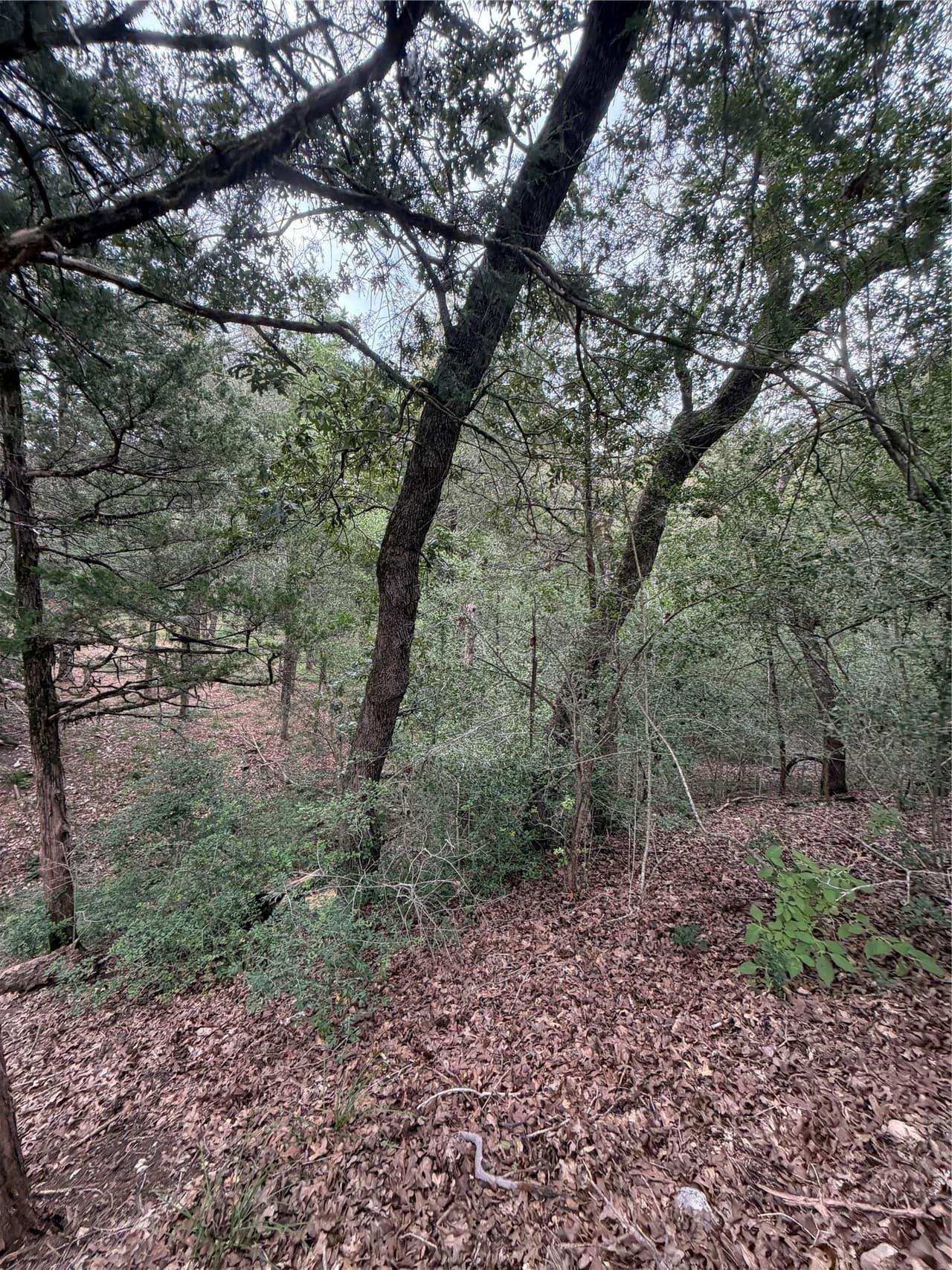 Lot 293  Aka Ct photo 3