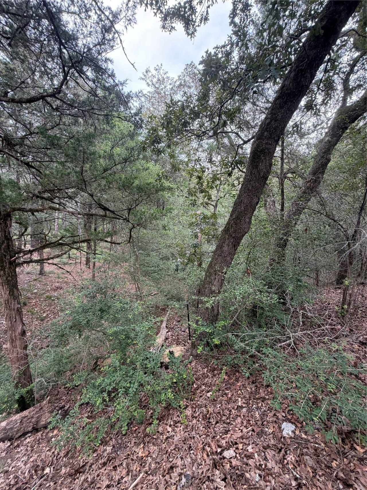 Lot 293  Aka Ct photo 4