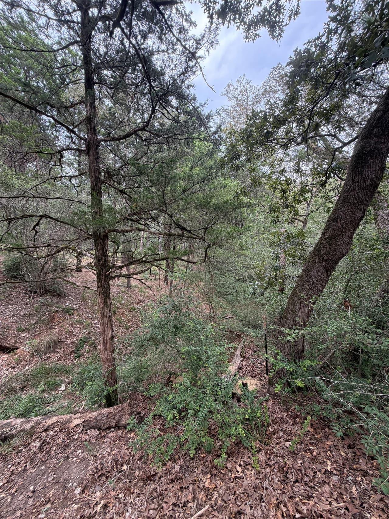 Lot 293  Aka Ct photo 5