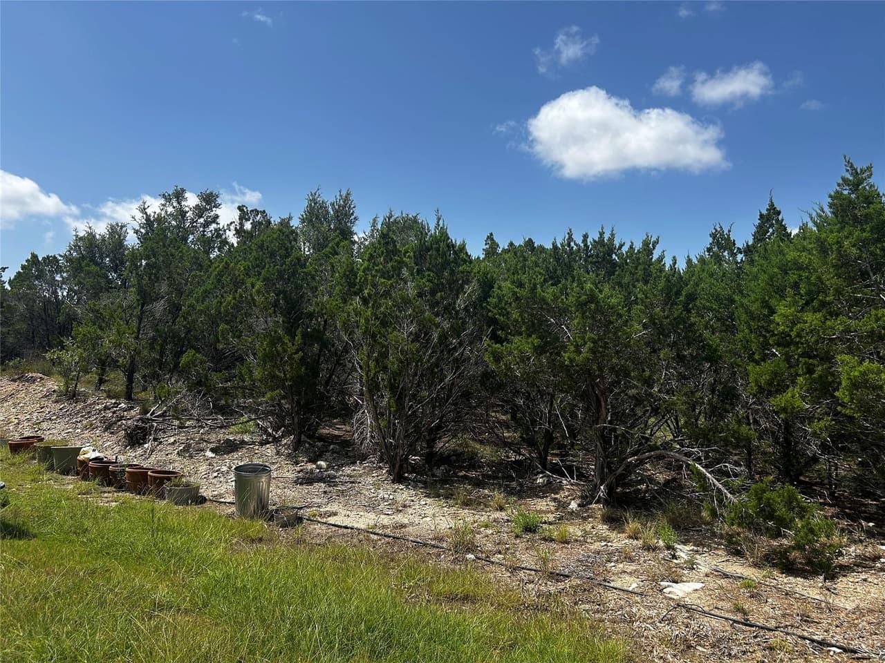 8911  Bar K Ranch Rd photo 2