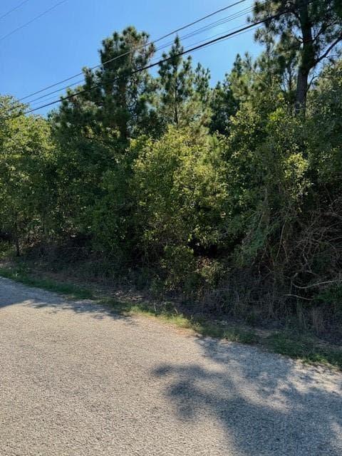 Lot 1355 N Kaupo Dr photo 2