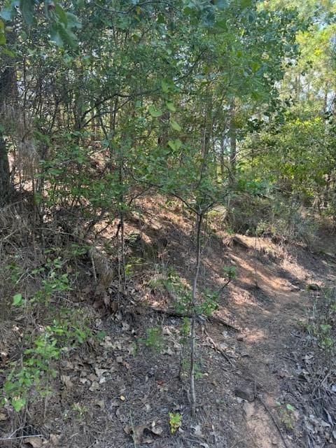 Lot 1355 N Kaupo Dr photo 5