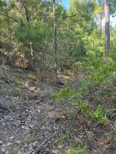 Lot 1355 N Kaupo Dr photo 6
