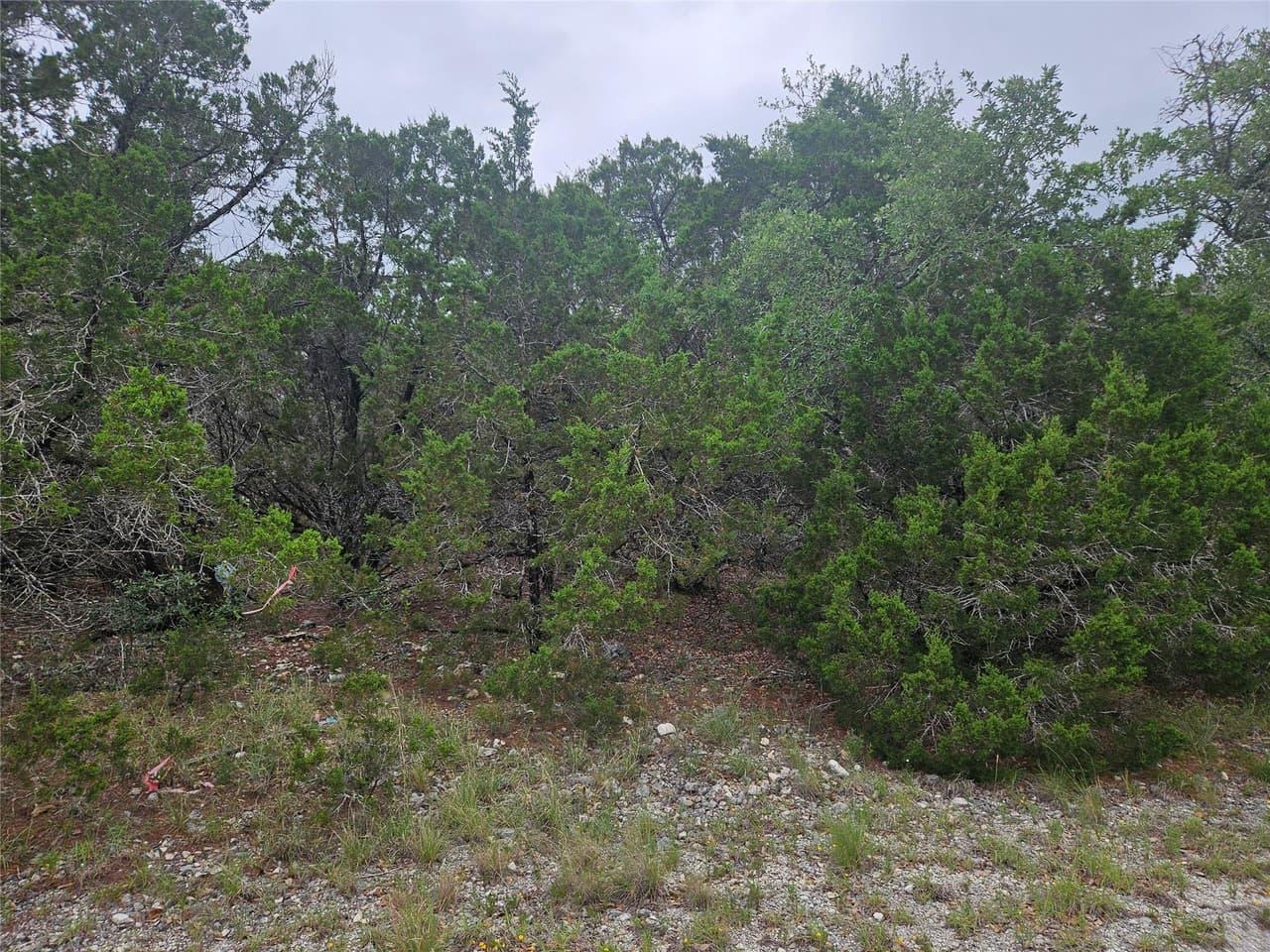 20465  Adobe Trl photo 3