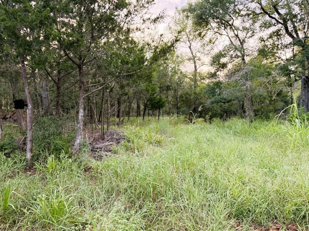 TBD Hilea Ct (lot 626)  Hilea Ct photo 4