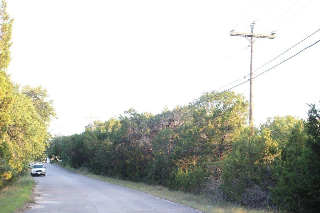 8008  Chestnut Cv photo 3