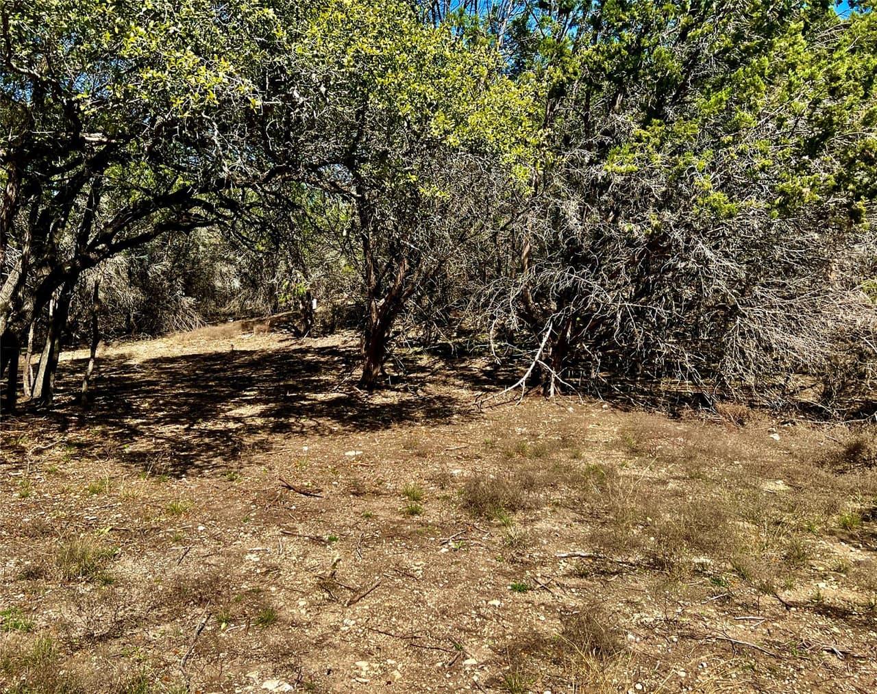 21300  HIGHLAND LAKE Dr photo 2