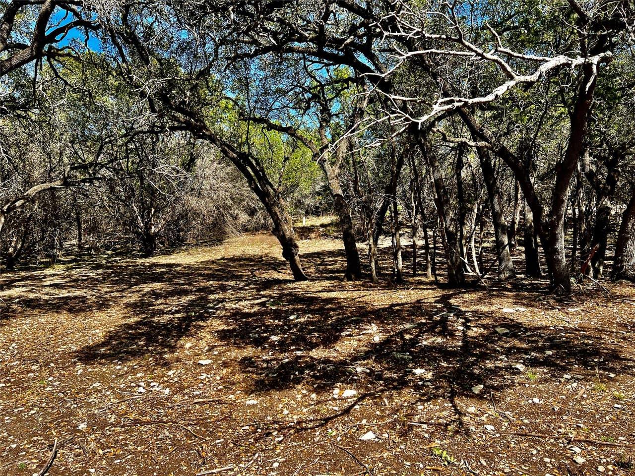 21300  HIGHLAND LAKE Dr photo 3