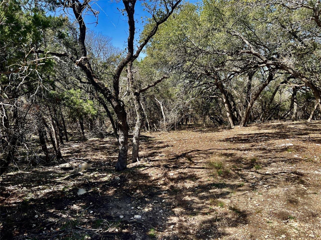 21300  HIGHLAND LAKE Dr photo 4