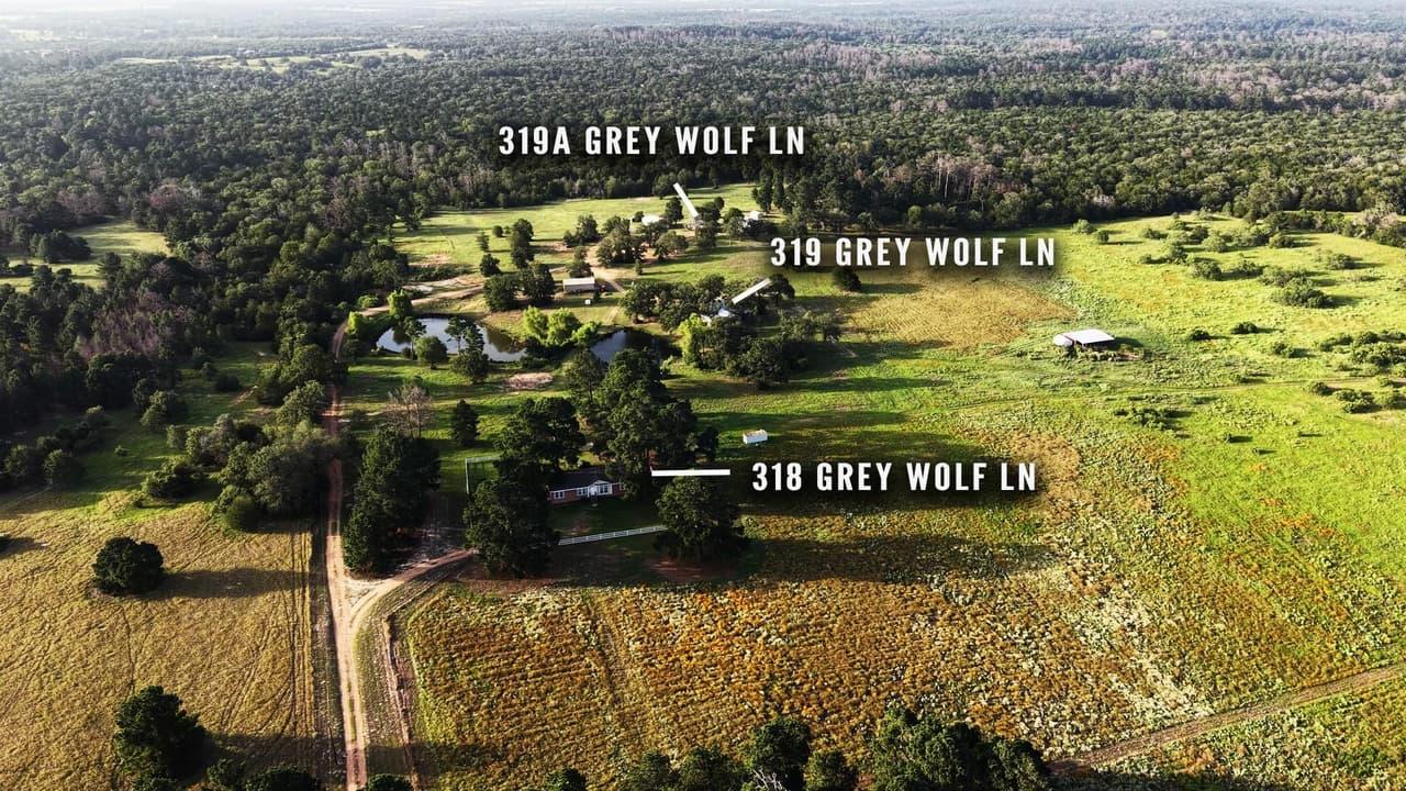 318  Grey Wolf Ln photo 3