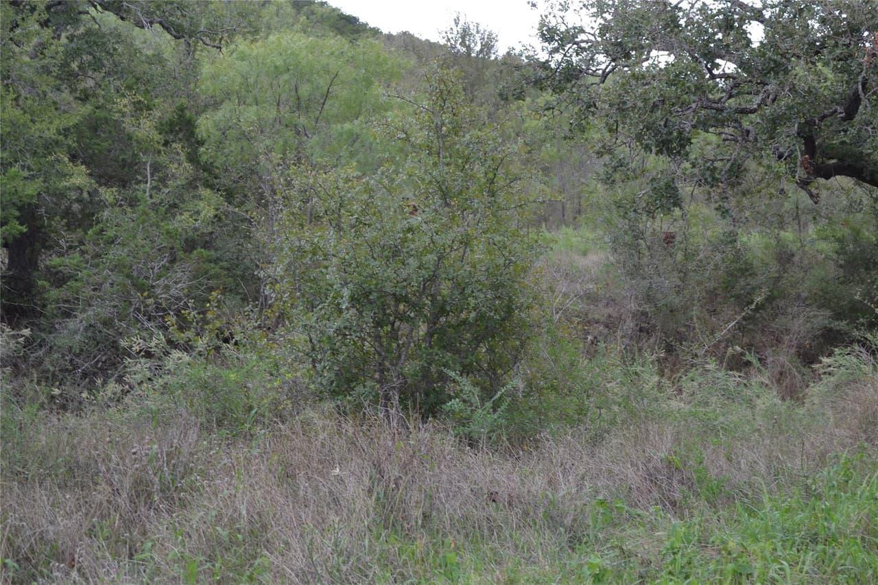 0  Ranch Road 2241 None photo 4