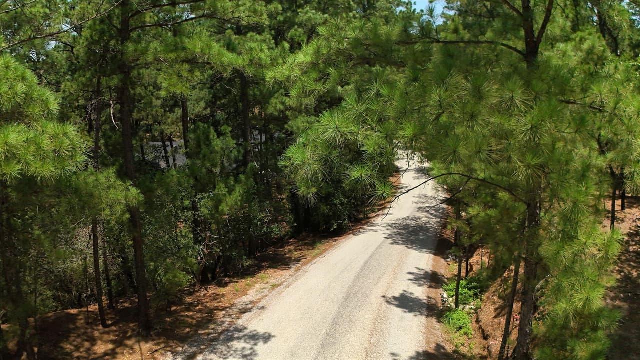 Lot 232  Hekili Dr photo 2