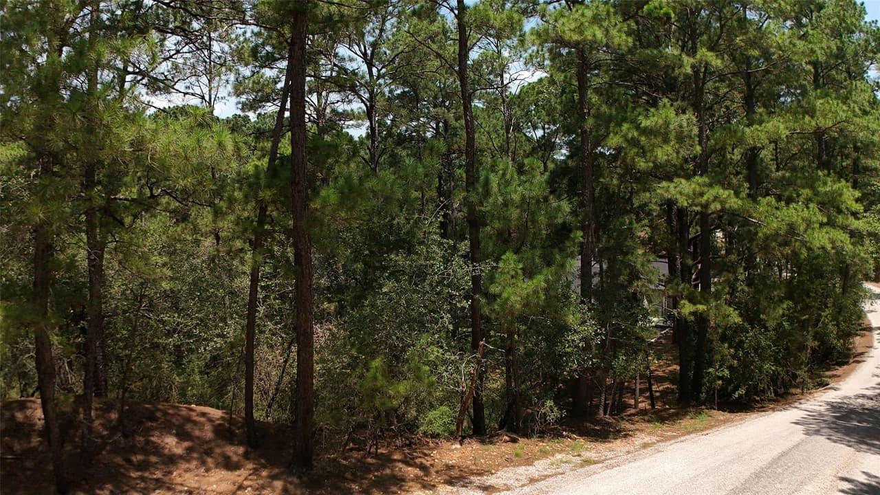 Lot 232  Hekili Dr photo 3
