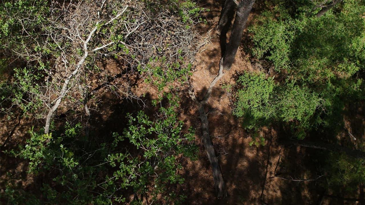 Lot 232  Hekili Dr photo 4