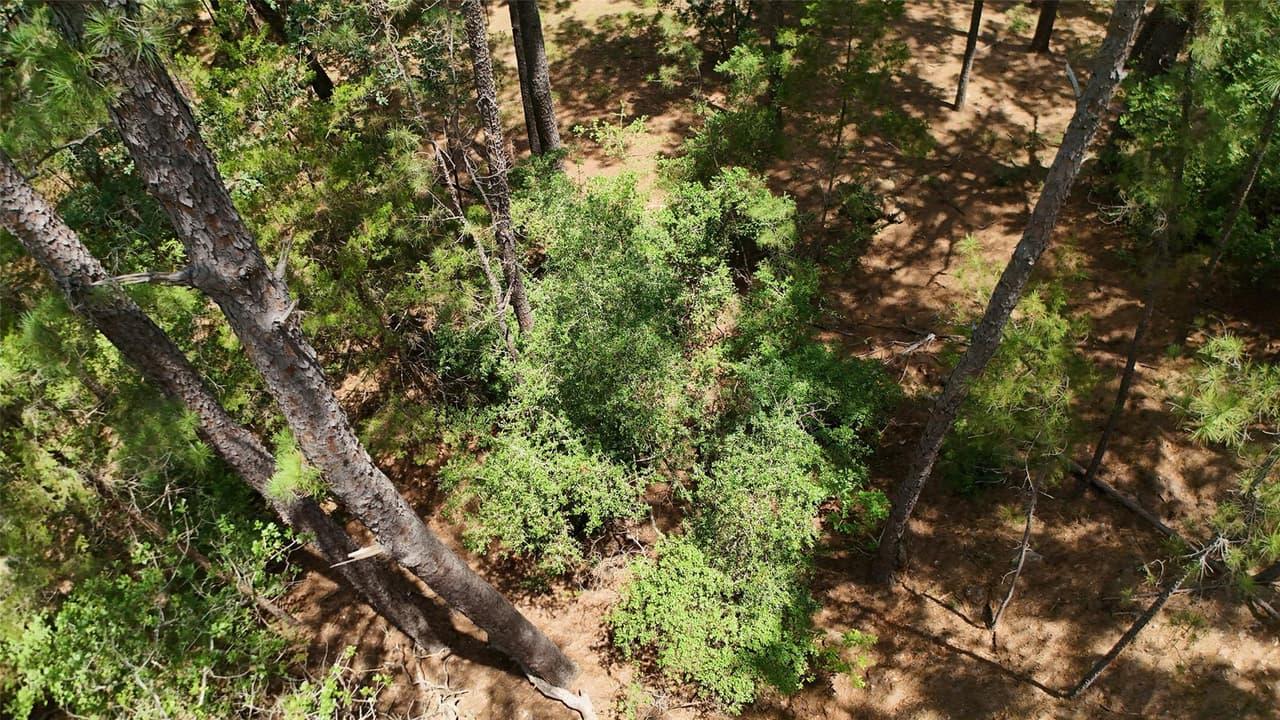 Lot 232  Hekili Dr photo 5