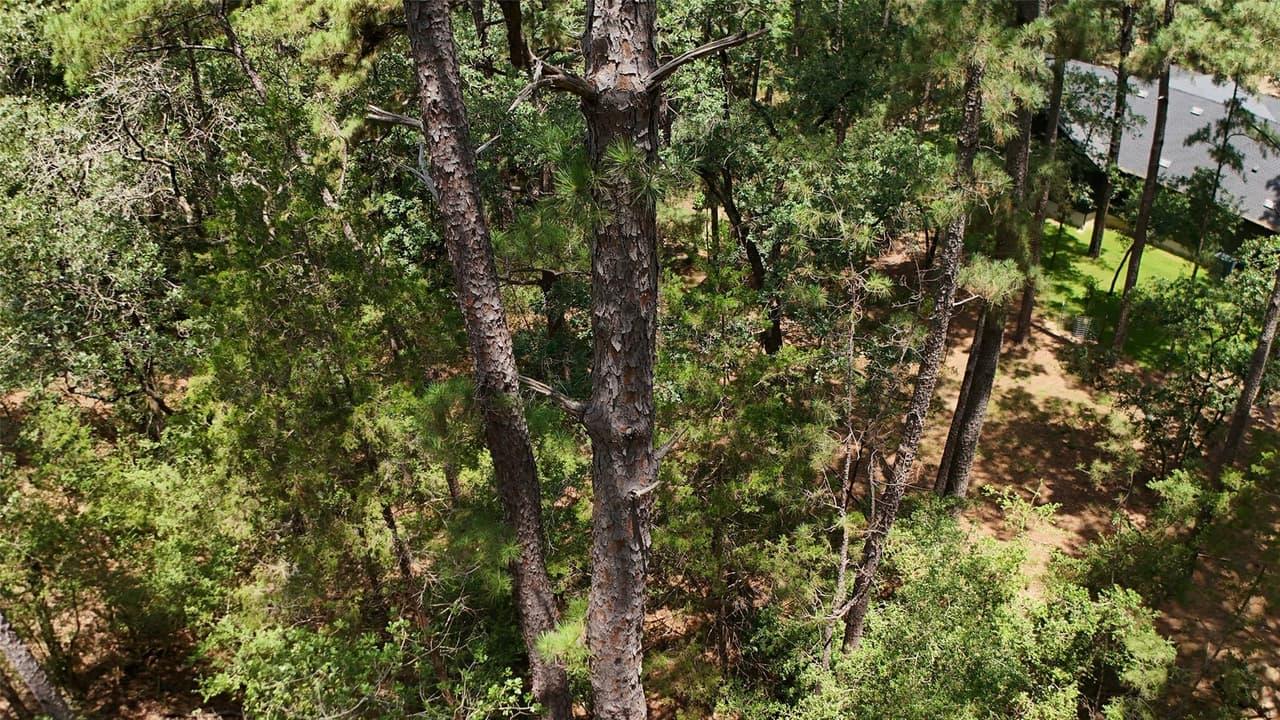 Lot 232  Hekili Dr photo 6
