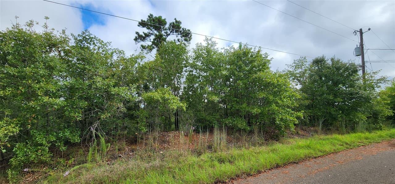 TBD  Homonu (Lot 105) Ct photo 2