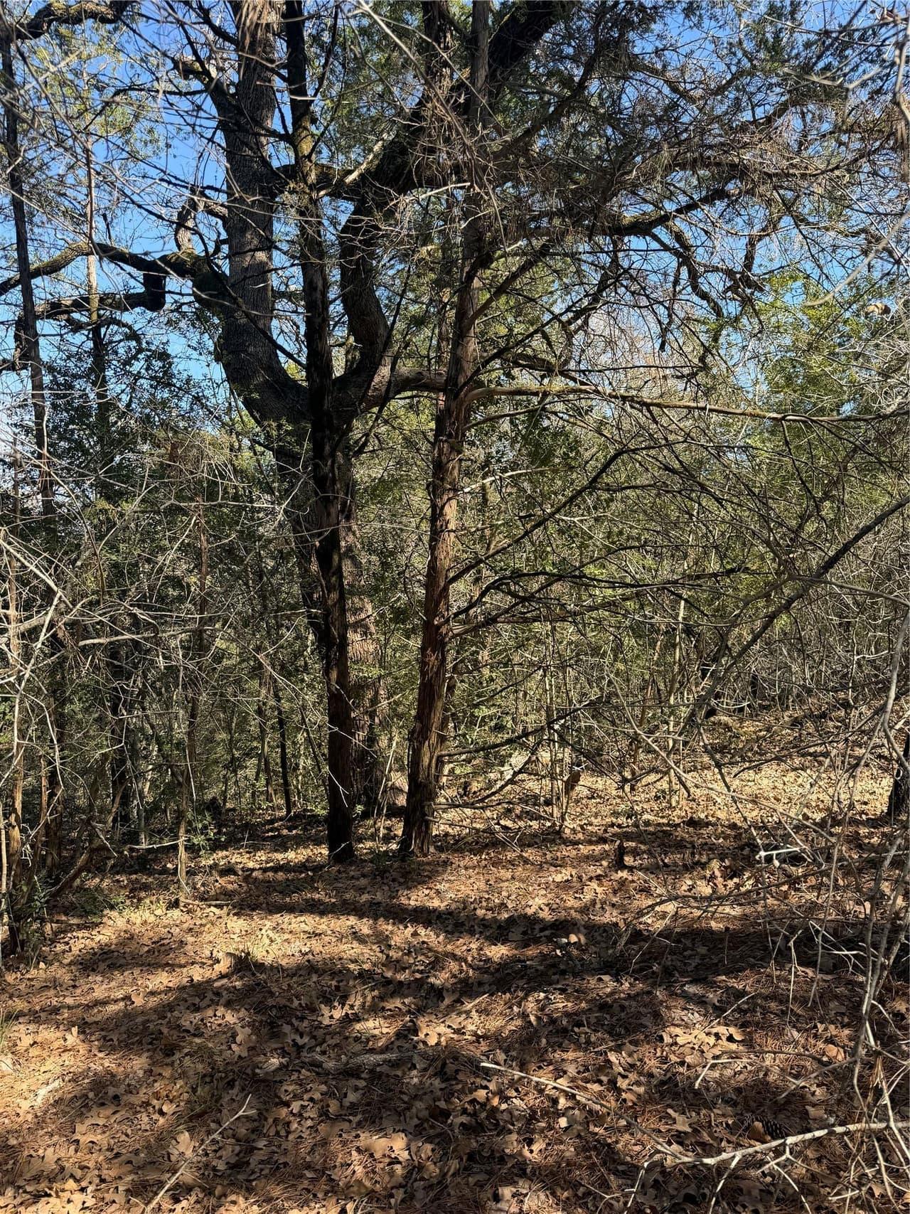 Lot 321  Keneka Ln