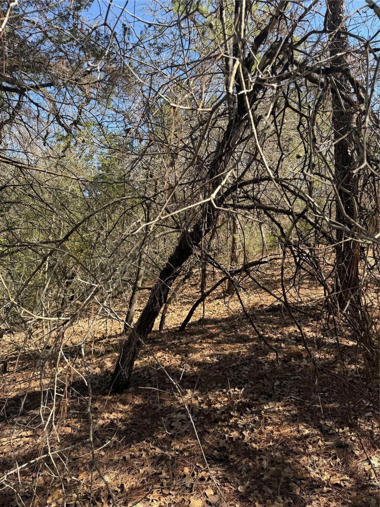 Lot 321  Keneka Ln photo 2