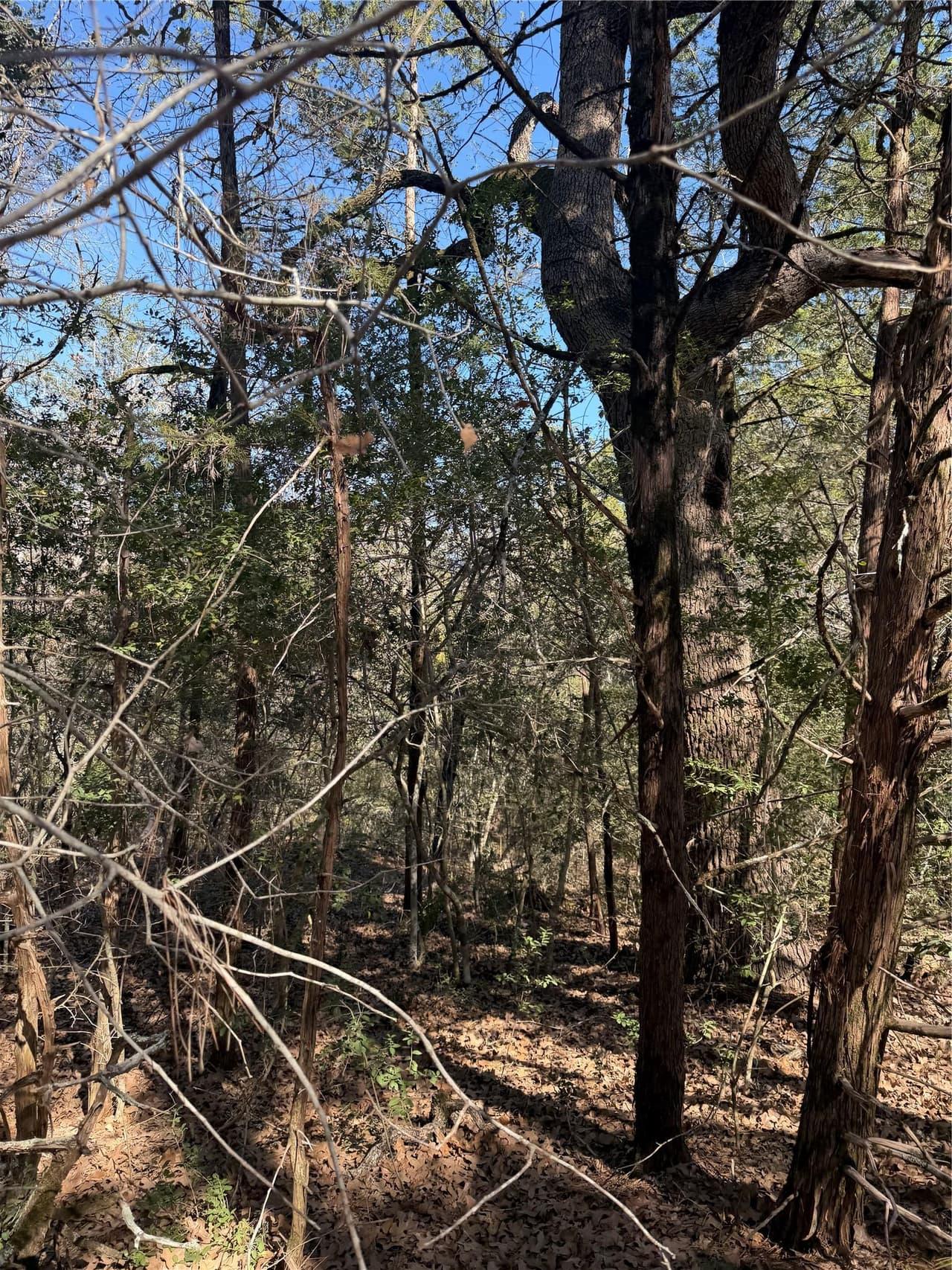 Lot 321  Keneka Ln photo 3