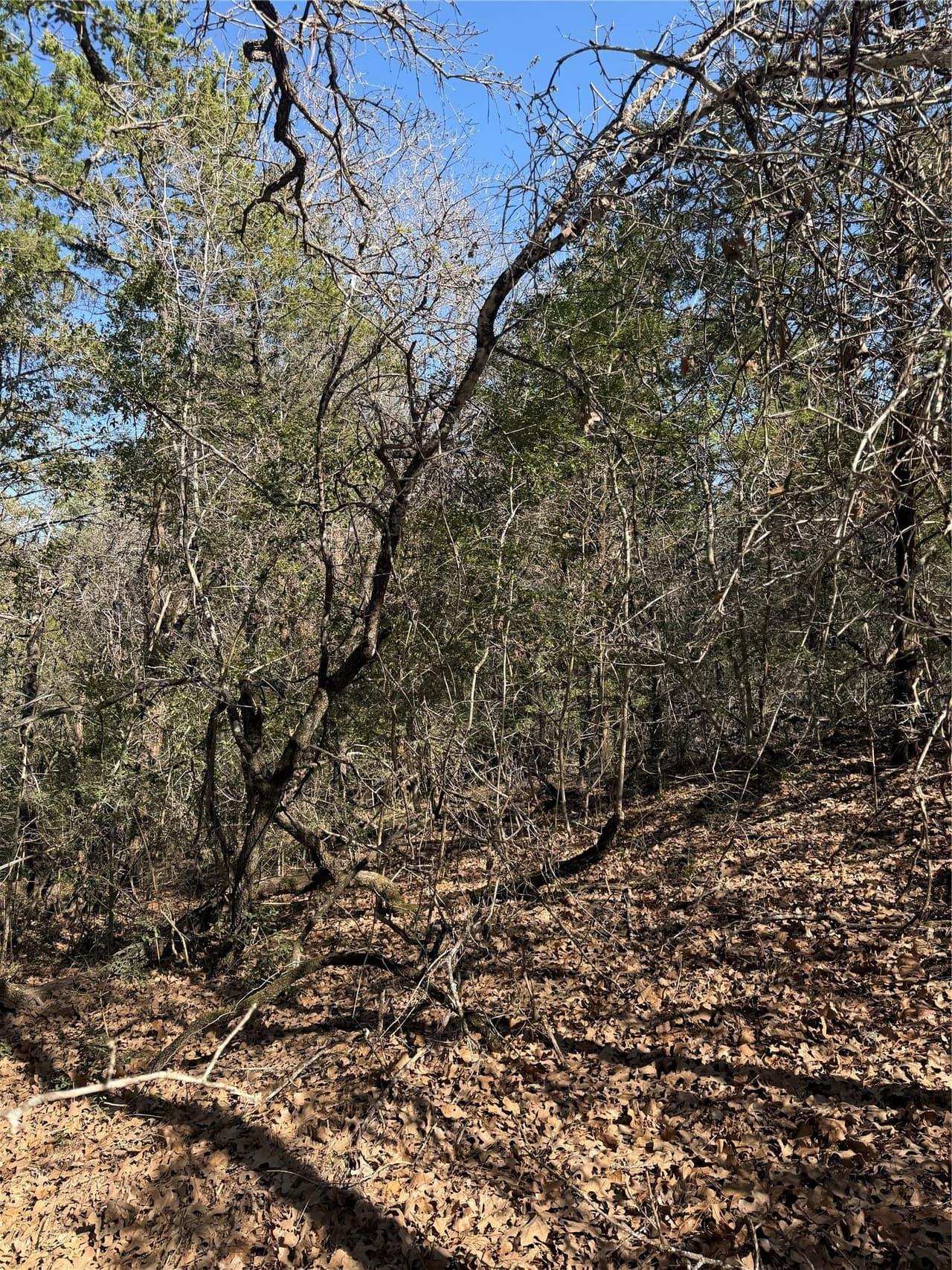 Lot 321  Keneka Ln photo 4