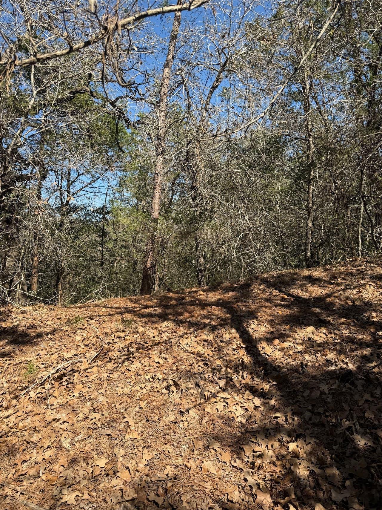 Lot 321  Keneka Ln photo 6