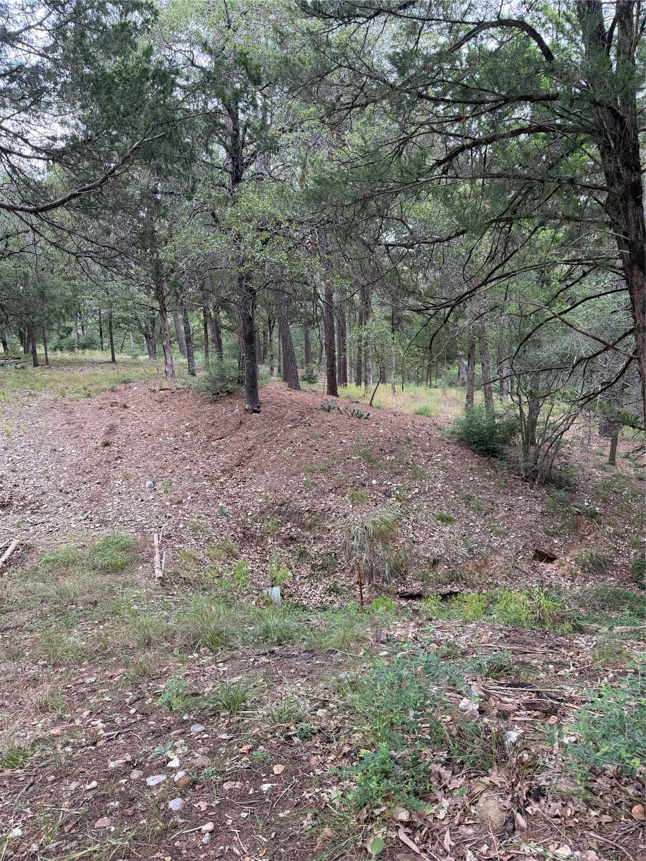 Lot 292  Aka Ct photo 2