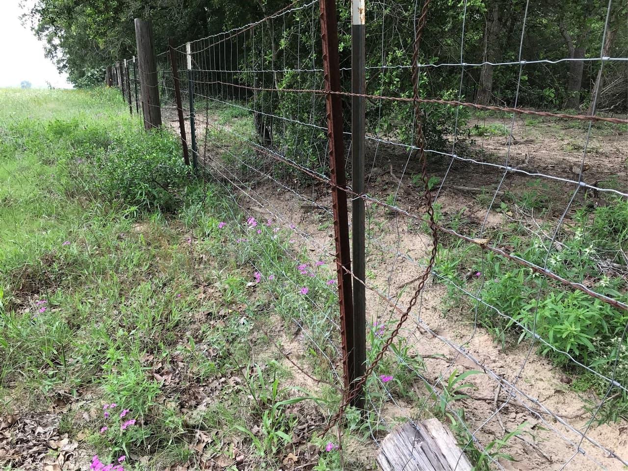 1672  Sayers Rd  #Tract 1 photo 6