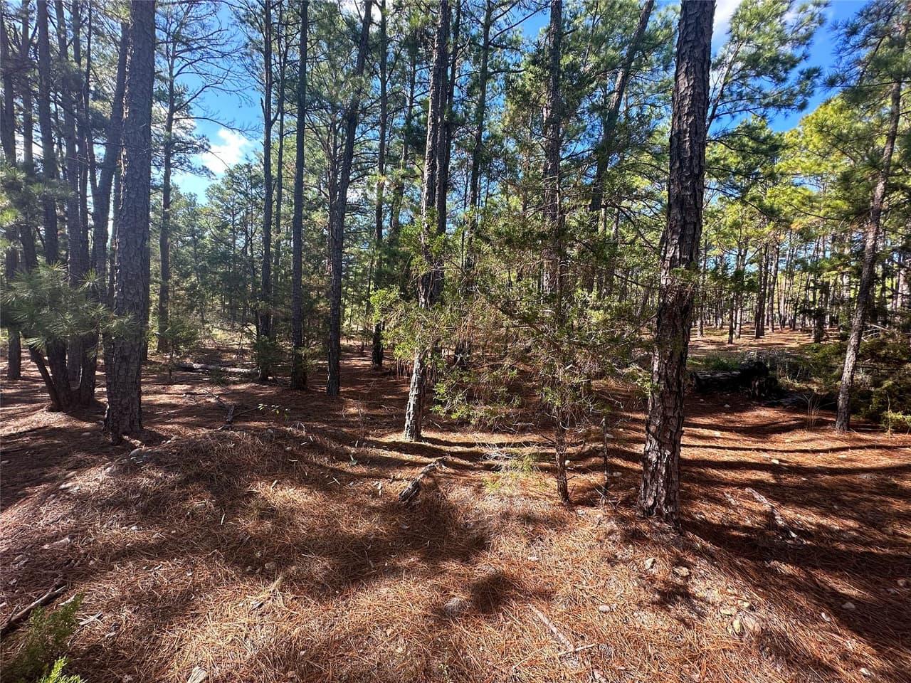 Lot 11  Hickory Ridge Dr