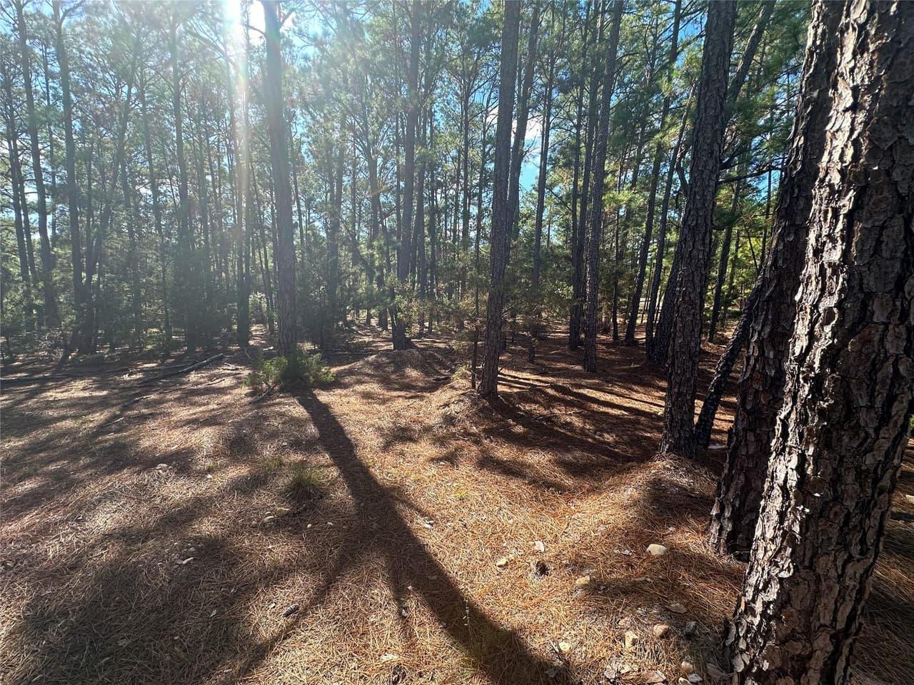 Lot 11  Hickory Ridge Dr photo 2