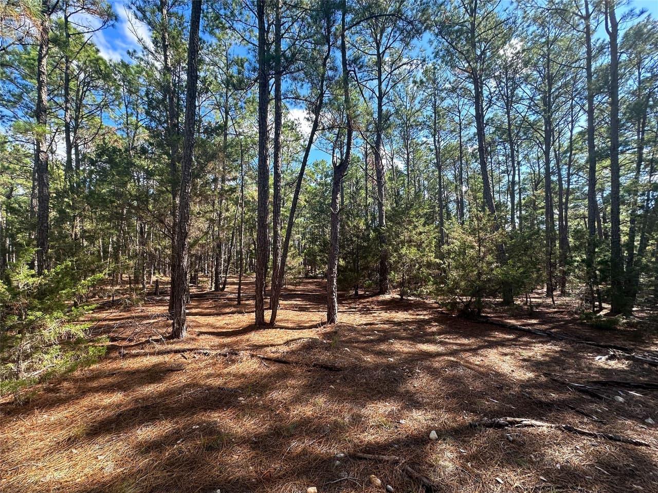 Lot 11  Hickory Ridge Dr photo 3