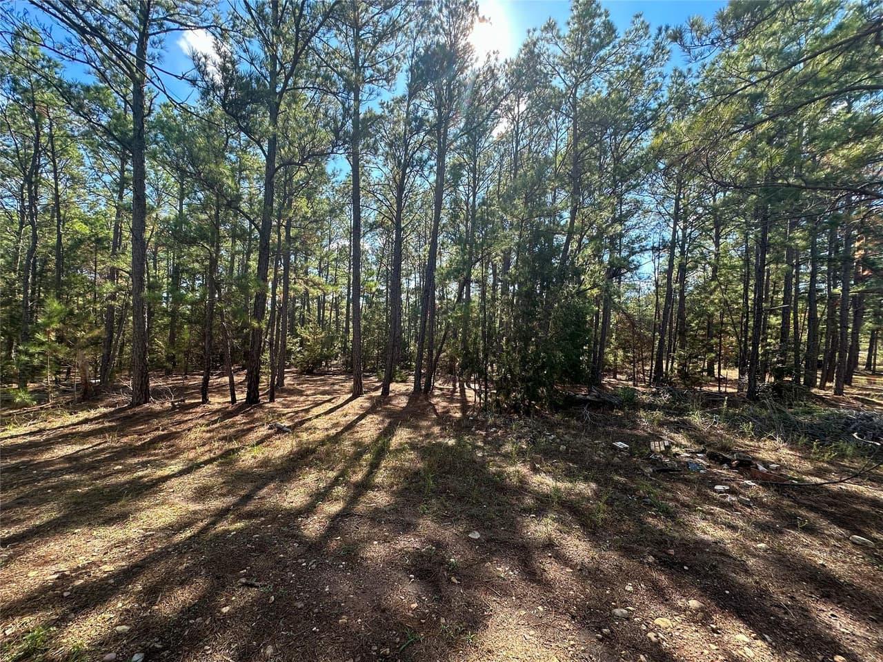 Lot 11  Hickory Ridge Dr photo 4