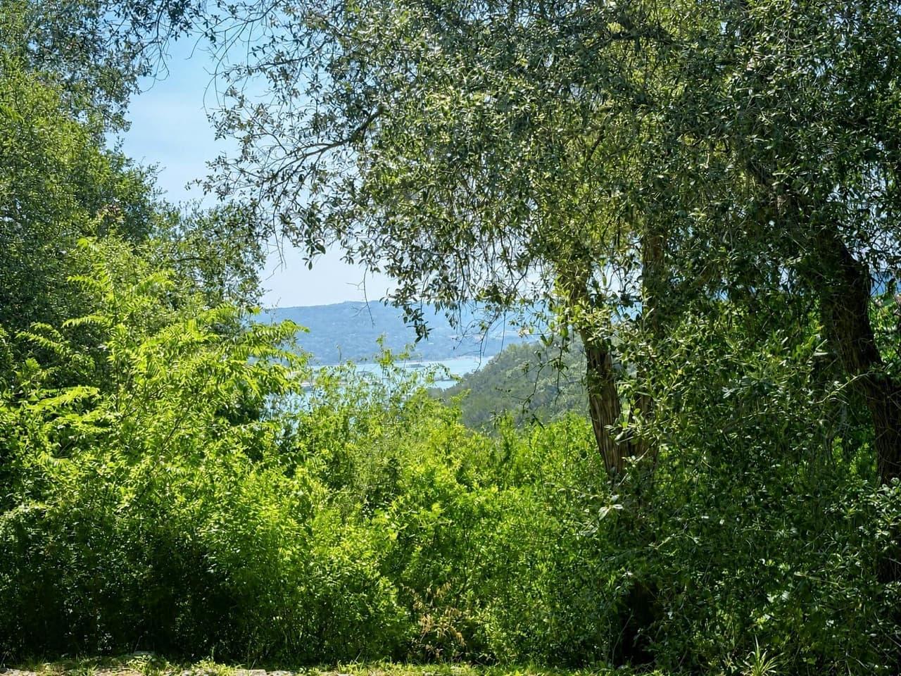 18201  Gregg Bluff Rd photo 3