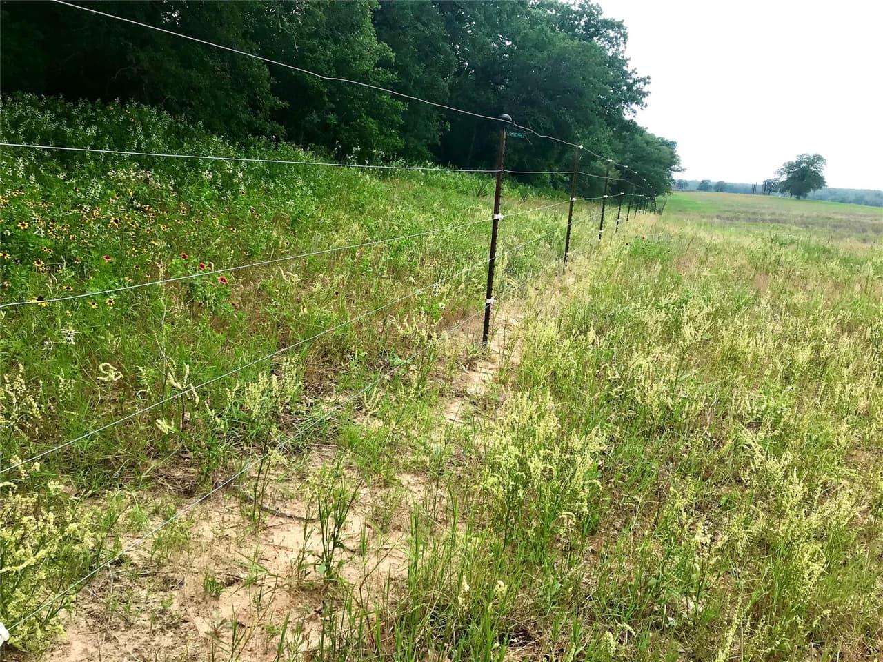 1672  Sayers Rd  #Tract 1 photo 3