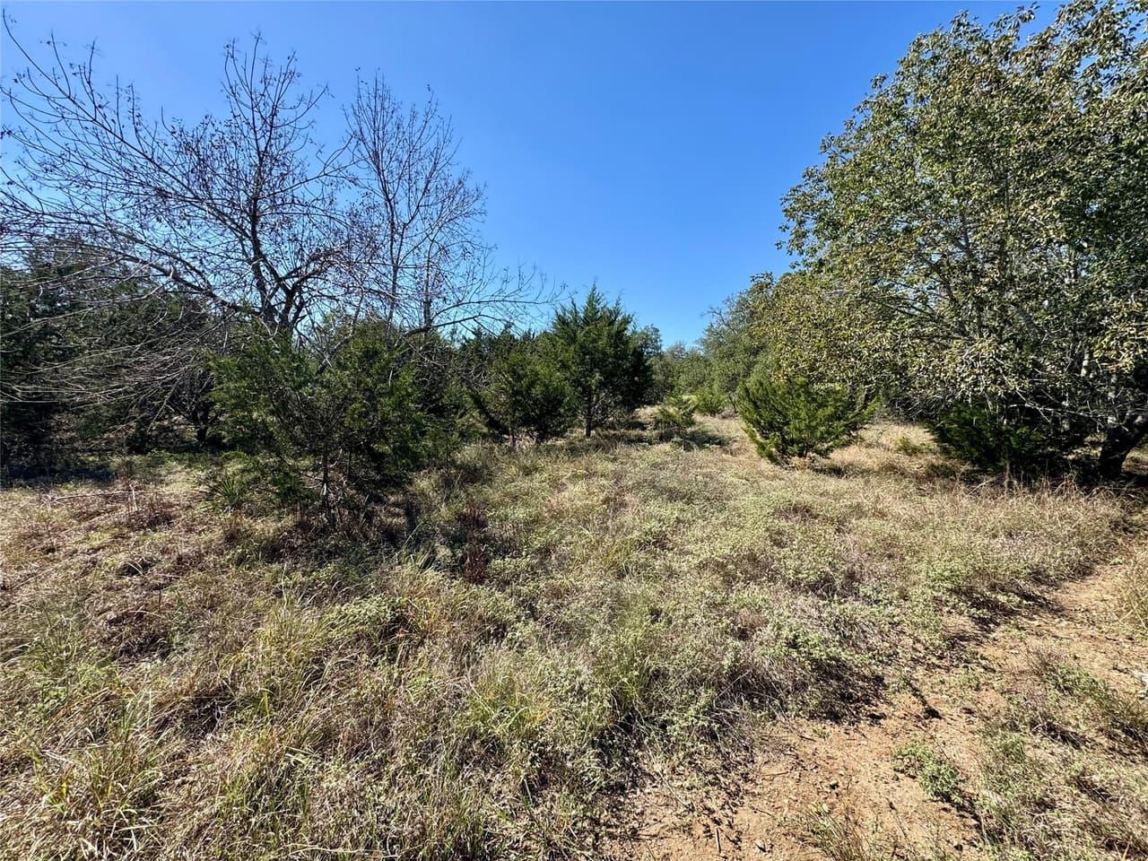 405  Saddlehorn Dr photo 2