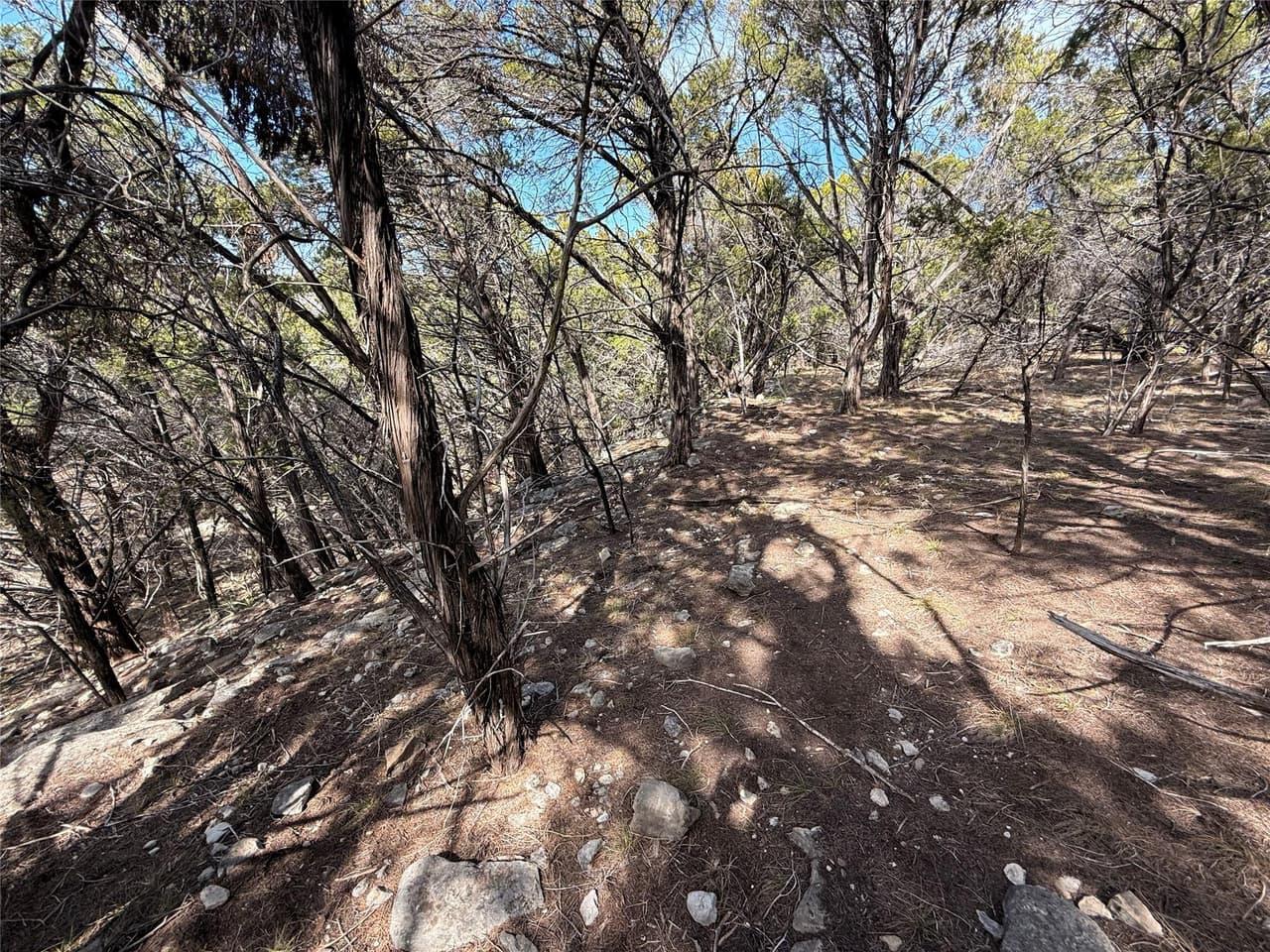 20705  Post Oak Dr photo 6