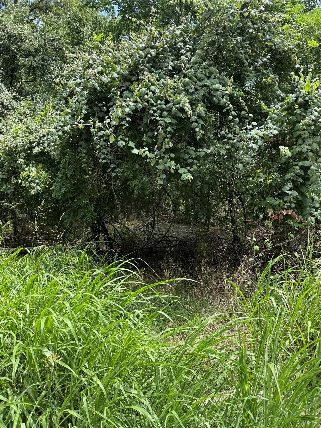 Lot 902  Kahana Ln photo 3