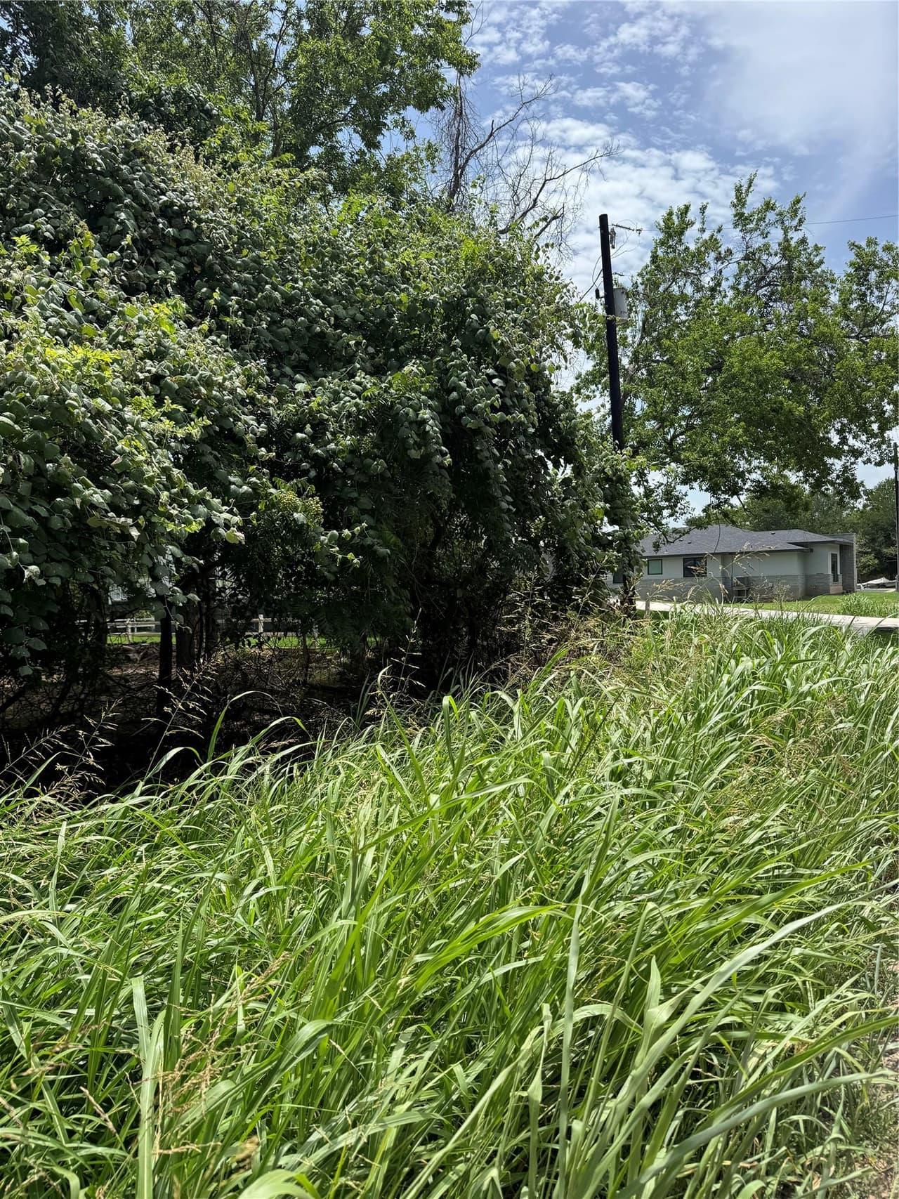 Lot 902  Kahana Ln photo 6
