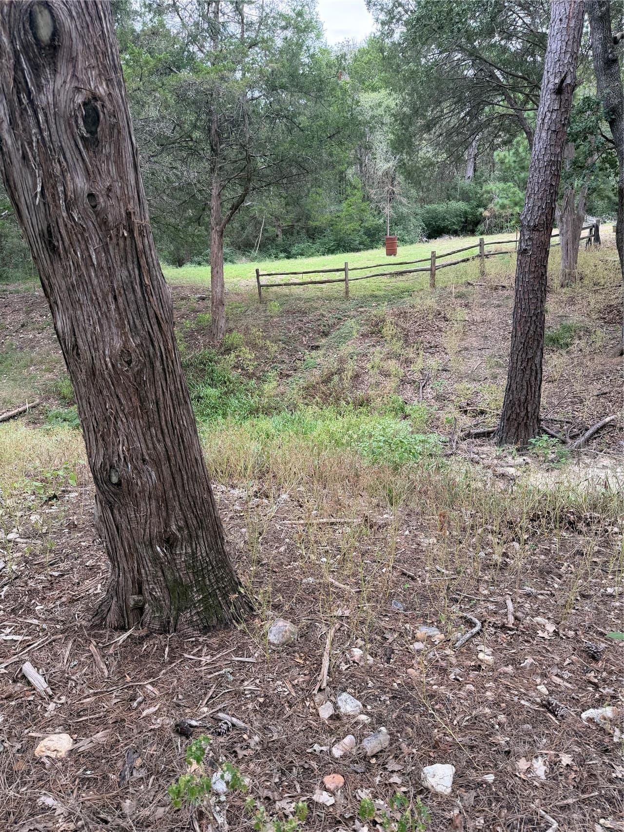 Lot 290  Aka Ct photo 4
