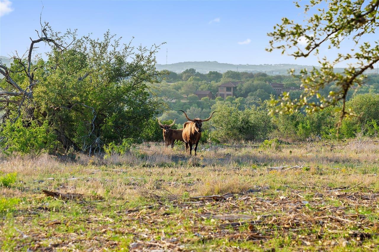10  Pedernales Canyon Trl photo 6