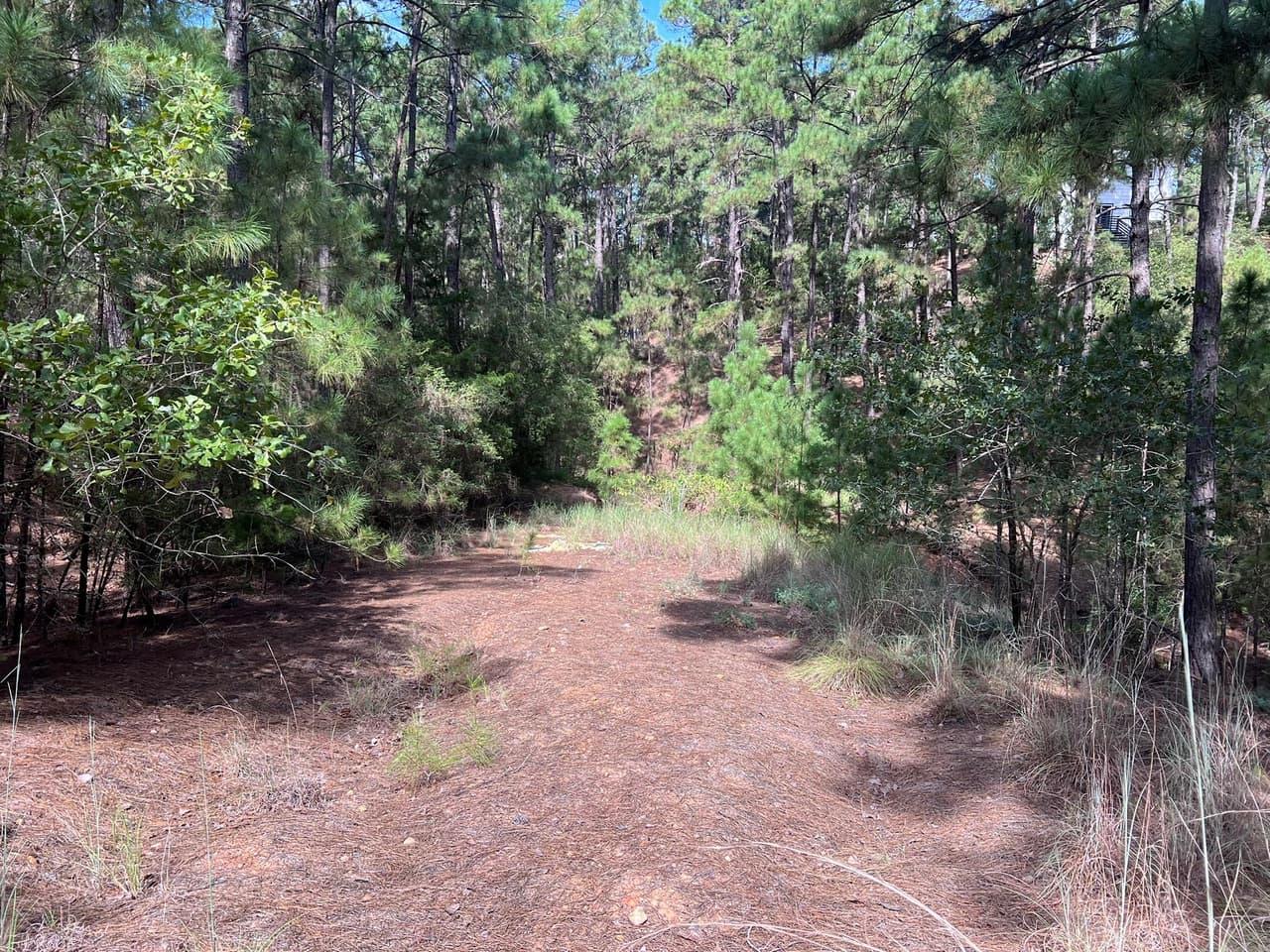 TBD  Okoe Ct W photo 2